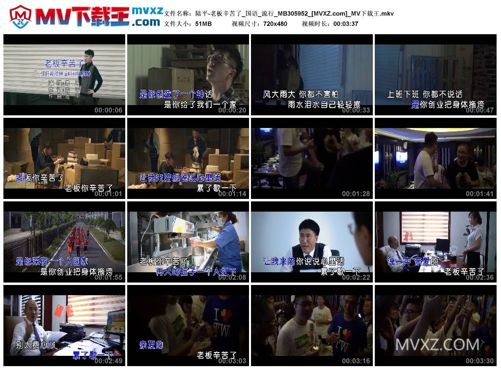 陆平-老板辛苦了_国语_流行_MB305952